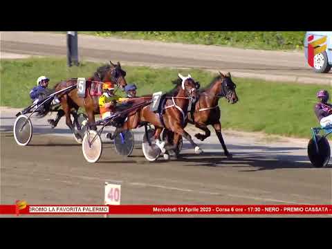 VI Corsa del 12 aprile 2023 - 4 Anni - Metri 1600