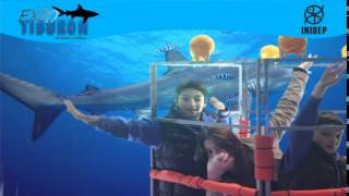 DIA 3 Expo Tiburon110