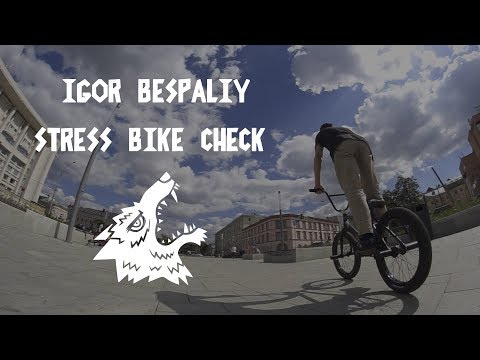 IGOR BESPALIY STRESS BIKE CHECK