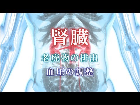 『ココカラ』Research15【全身から腎臓，腎臓から全身を診る】/金沢大学研究紹介動画