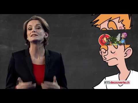 Comment marche la mémoire ?