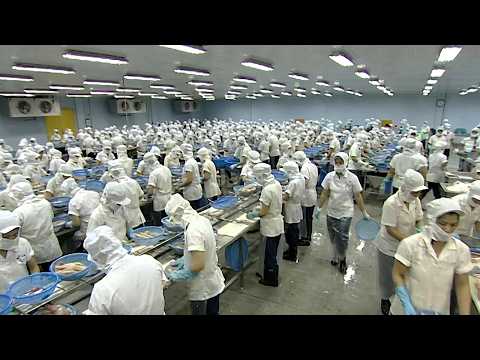 imineo Documentaires and Food Story