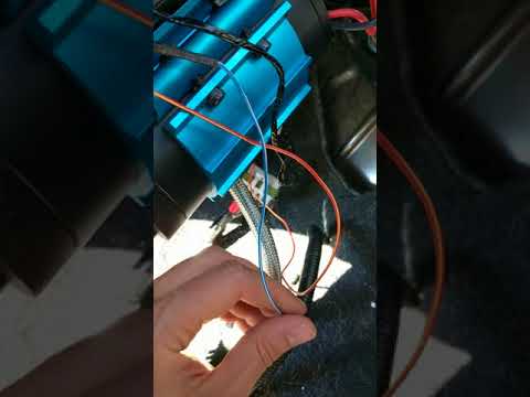 ARB Dual Compressor Wiring - confidencetoexplore.com