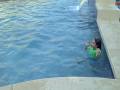 Swimming In February
