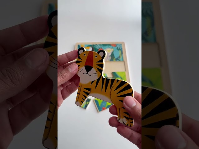 بازل الغابة الخشبي