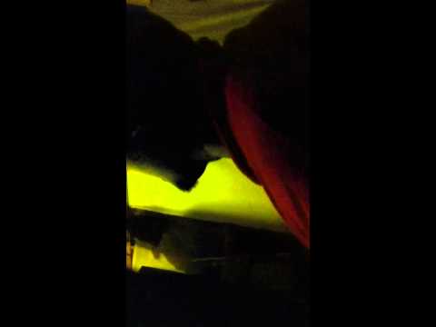 Steve Stash Money Fleming