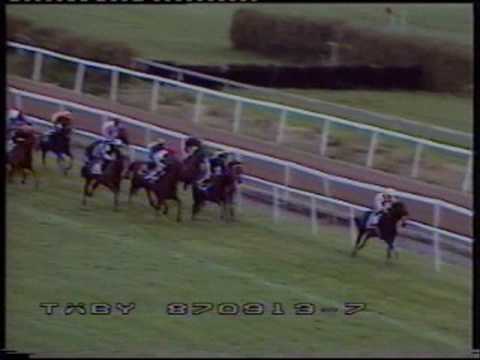 GALOPPSPELAREN - Stockholm Cup 1987