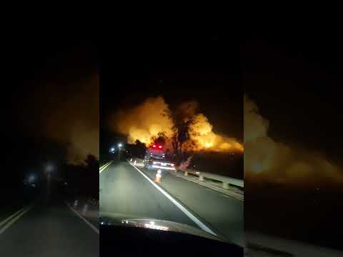 Quinta, 11.9.2025, 20:50+/- rodovia Armando S. Oliveira entre Guaraci e Icém #shorts