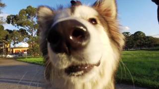 University of Derby video