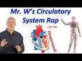 Circulatory System Rap (Pump it Up!)
