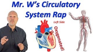 Circulatory System Rap (Pump it Up!)
