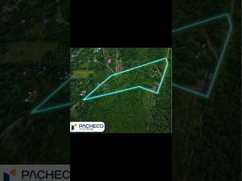 TERRENO PRODUCTIVO EN VENTA – SAN RAFAEL, PATATE – 1,43 HECTÁREAS