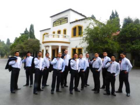 ¿qué Fue De Ti? - La rondalla de saltillo
