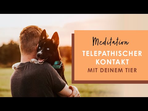 Telepathischer Kontakt mit deinem Tier - Geführte Meditation | 13 Minuten | Tierkommunikation