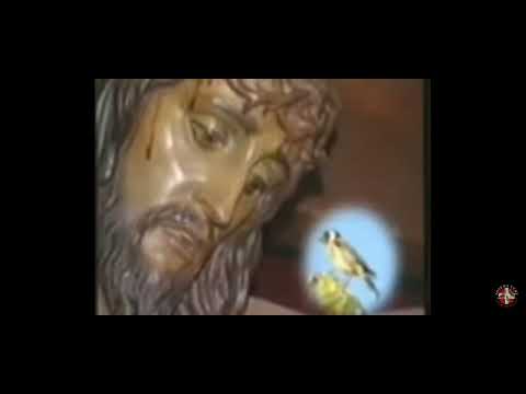 el jilguero y Jesucristo