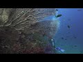 Ralph Zurmühle - The Ocean Beyond Time