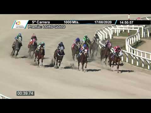 17/08/2020 – Hipodromo Las Piedras – Carr 5 – LORD GOLD