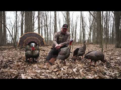 Avian X HDR Turkey Decoy Line up