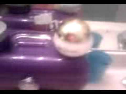 Carolinas Top 5 Winter Favorites Part 1