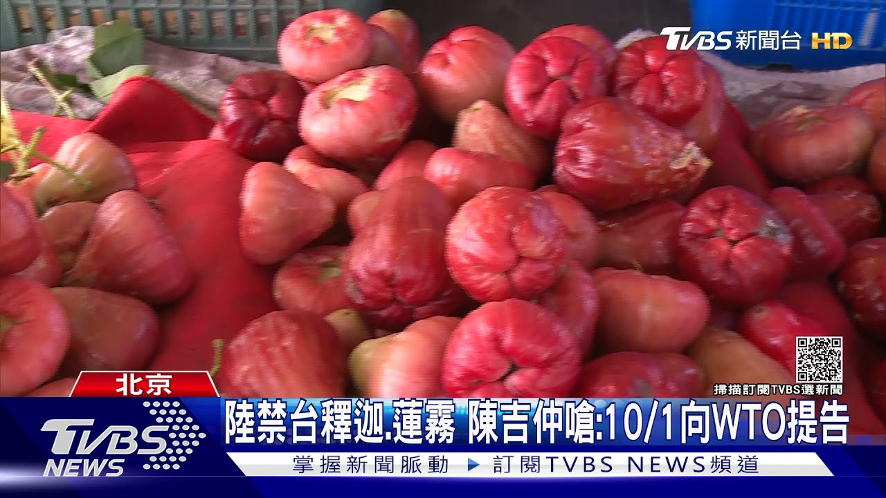 陸禁台釋迦、蓮霧 陳吉仲嗆:10月1日向WTO提告