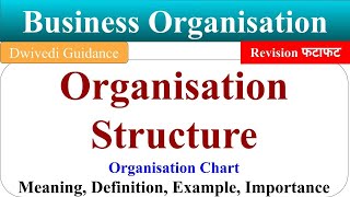 Organisation Structure, organisation structure meaning, Organizational Structure, Organisation Chart