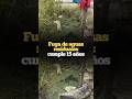 Homepage 6 Video thumbnail