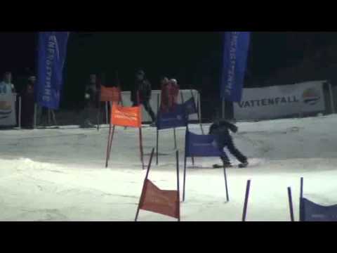 Anneli Reimer - Energitimmen 2010