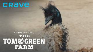 Tom Meets Viral Angry Emu from Useless Farm | The Tom Green Farm | Crave Original