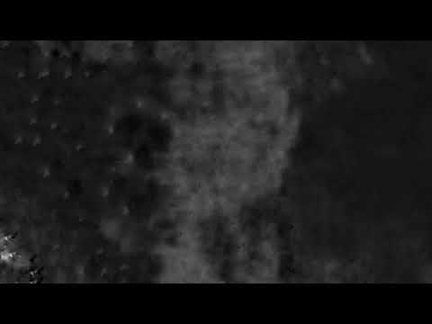 Emil TRF - Tursiha Nqkoi V Kvartala (Official Audio)