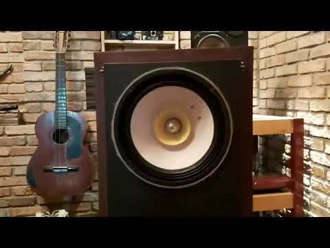 Wood cone 10 inches field coil fullrange speakers #4. Handmade speakers