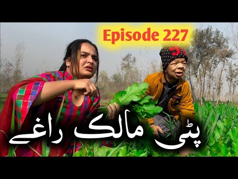 Pati Malik Raghe ll Khpala Weena Drama Episode 227 By Charsadda Vines Director Sadiq Khan 2025