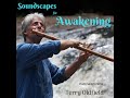 SOUNDSCAPES FOR AWAKENING ... Full Album ... Terry Oldfield