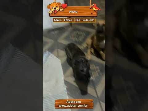 Vídeo de Aisha