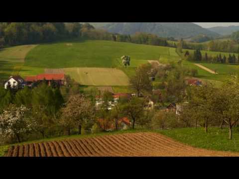 Tam gdzie są łąki zielone. -  BLUE ROMANTIC.