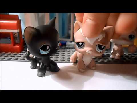 xnesss’s Video 103328310191 KSiGpd1b42w