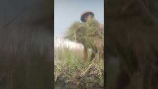 Download lagu ngaret time bolo mp3