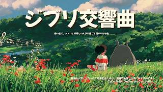 Download lagu A peaceful afternoon spent relaxing on a green hill with Totoro and Chihiro 🌿☁️Calm Ghibli Orchestra mp3