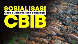 Sosialisasi Mekanisme Self Declare CBIB