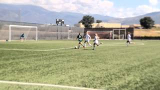HIGH SCHOOL GIRLS’ SOCCER: Goal, Los Alamos' Catie McDonald