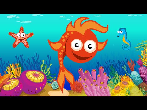 Puzzles fish Video