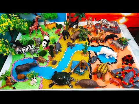 Learn the names of herbivorous, carnivorous and omnivorous animals-DIY Diorama-Video Encyclopedia