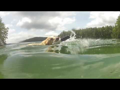 Awesome private beaches all around the lake.