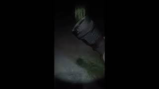 Lumintop D2