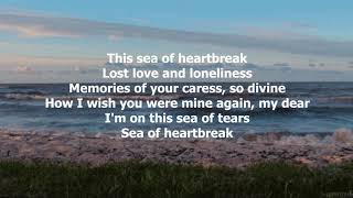 Sea Of Heartbreak by Don Gibson - 1961 (with lyrics)