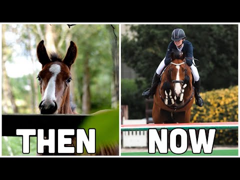 From FOAL to GRAND PRIX // Khal's 8 YEAR TRANSFORMATION