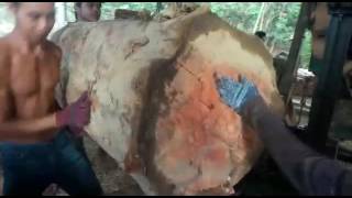 Download lagu Kerja somel di malaysia mp3 Download lagu Kerja somel di malaysia mp3