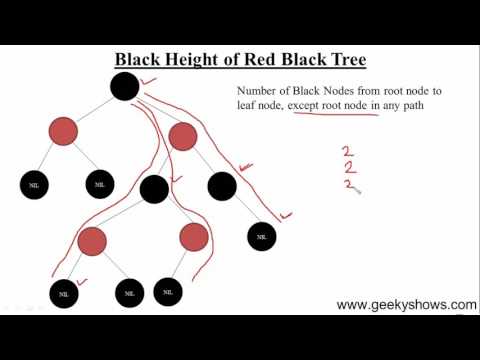 124 Black Height of Red Black Tree or Node n Hindi