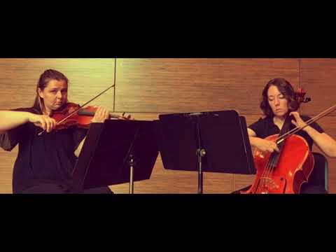 Promotional video thumbnail 1 for Abellimenti Strings