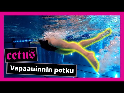 Vapaauinti 4 - Potku