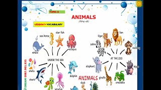 Topic 2 - Animals - Phonics 3A